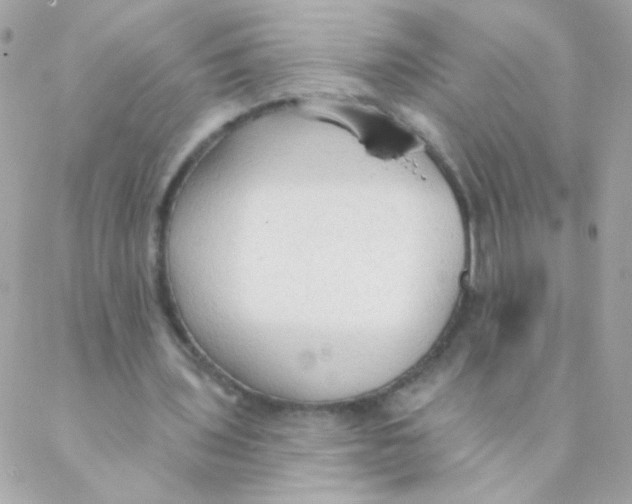 X0000088220435200706051326