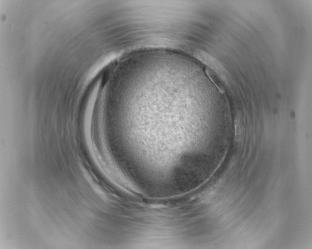 X0000088220436200706051326