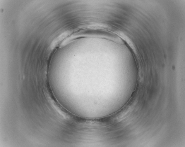 X0000088220437200706051326