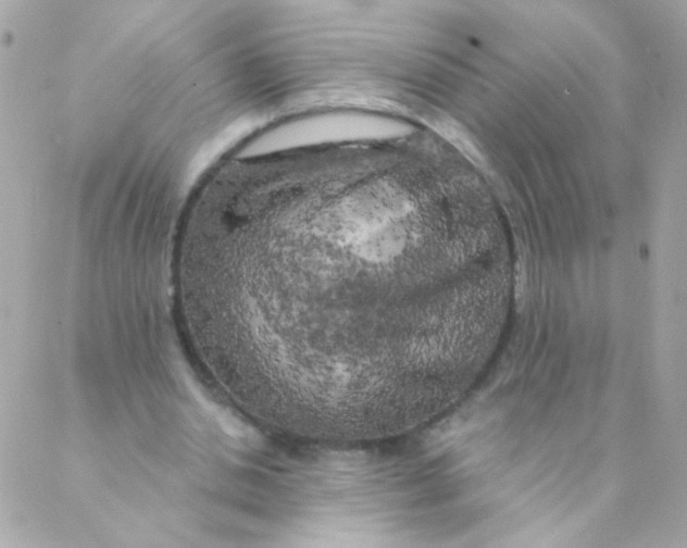 X0000088220438200706051326