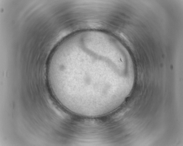 X0000088220439200706051326