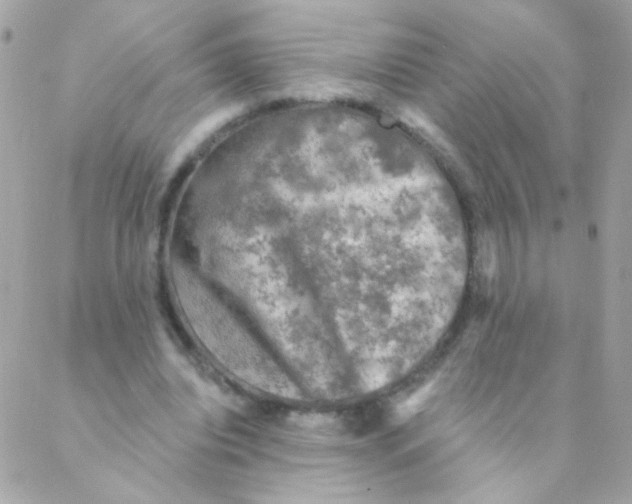 X0000088220440200706051326