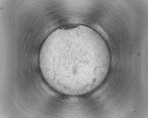 X0000088220441200706051326