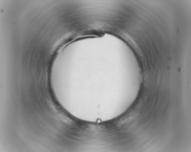 X0000088220442200706051326