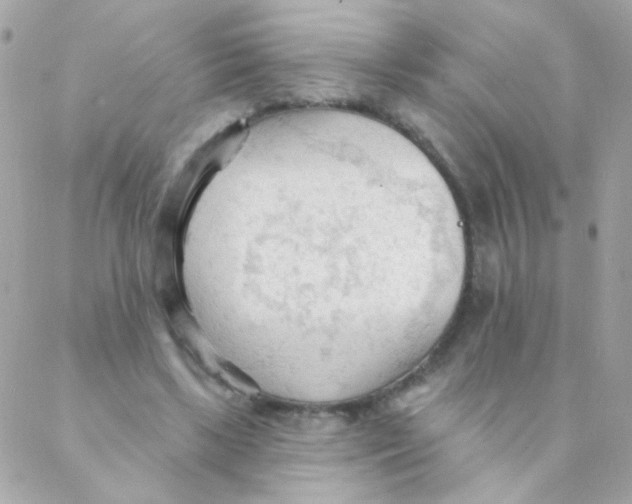 X0000088220443200706051326