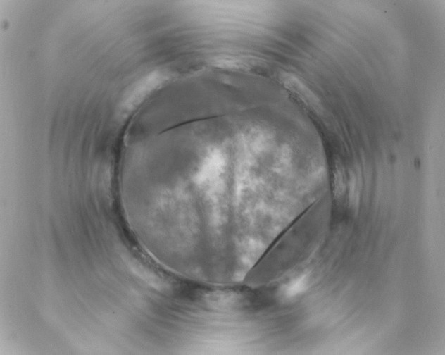 X0000088220444200706051326