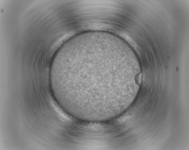 X0000088220445200706051326