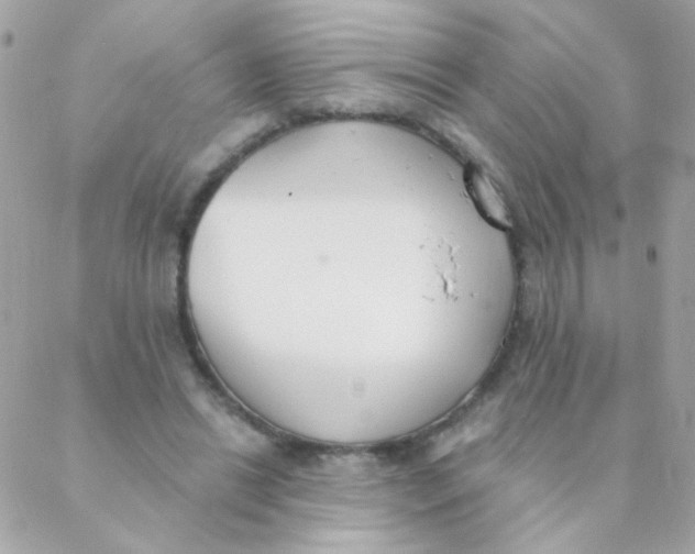 X0000088220446200706051326