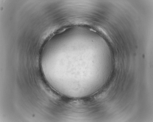 X0000088220447200706051326