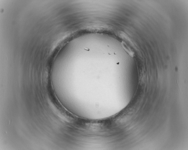 X0000088220448200706051327