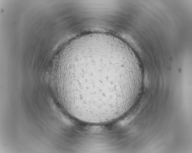 X0000088220449200706051327