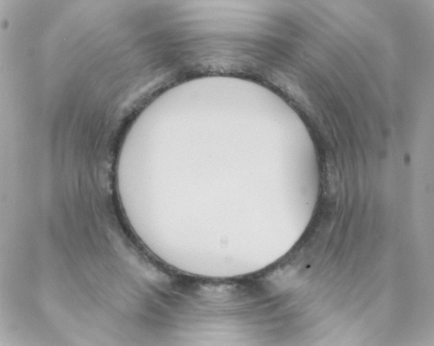 X0000088220450200706051327