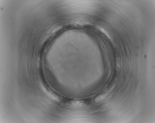 X0000088220451200706051327