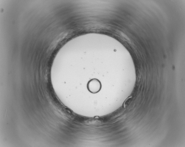 X0000088220452200706051327