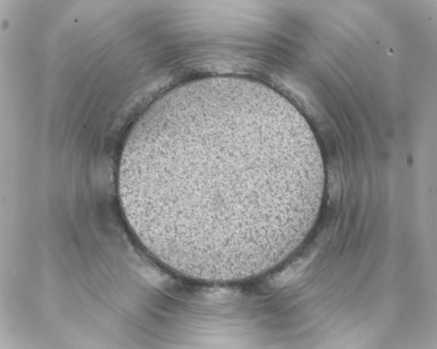 X0000088220453200706051327