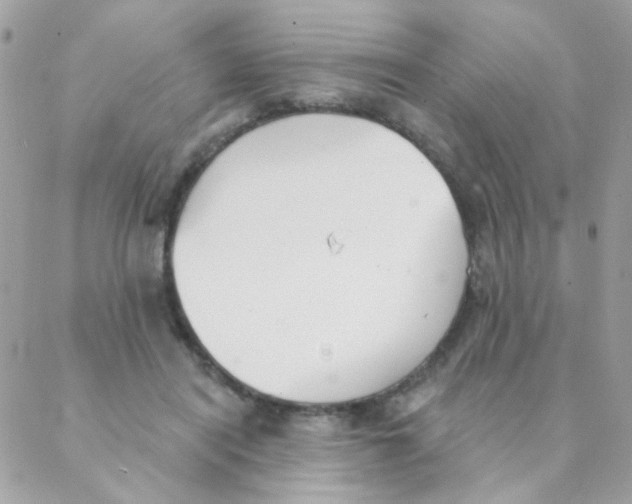 X0000088220454200706051327