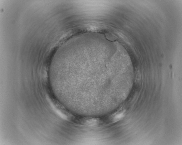 X0000088220456200706051327