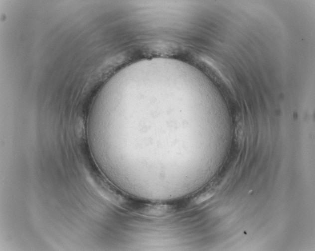 X0000088220459200706051327