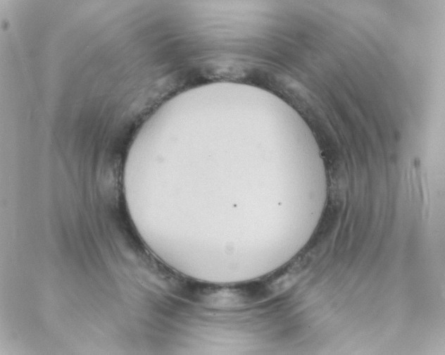 X0000088220460200706051327