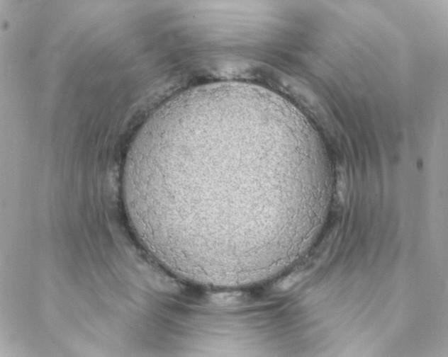 X0000088220461200706051327