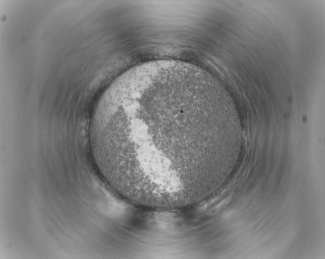 X0000088220462200706051327