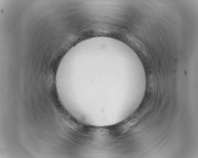 X0000088220463200706051327