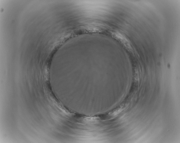 X0000088220465200706051327