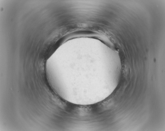 X0000088220466200706051327