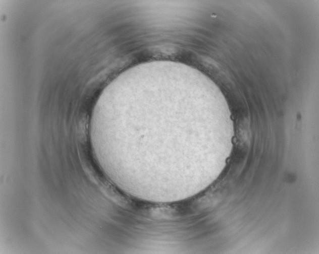 X0000088220468200706051327