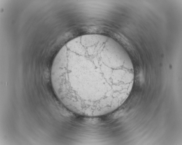 X0000088220469200706051327