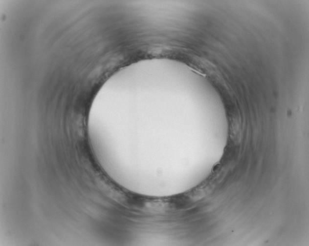 X0000088220470200706051327