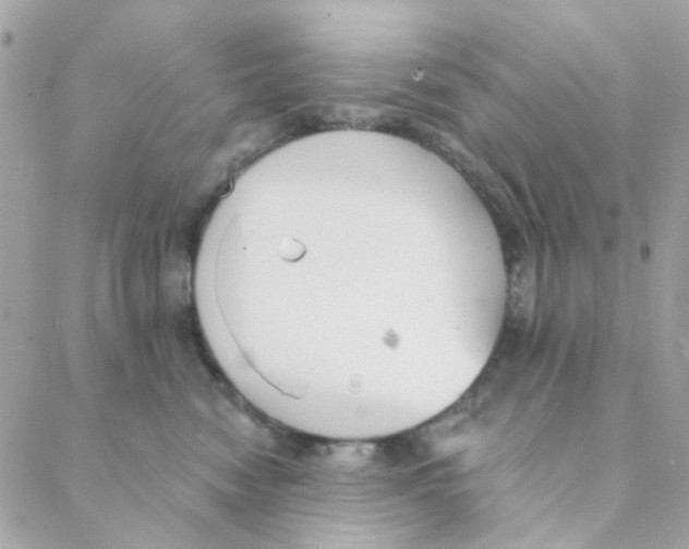 X0000088220474200706051327