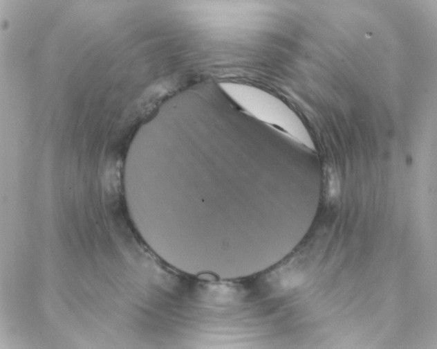 X0000088220475200706051327