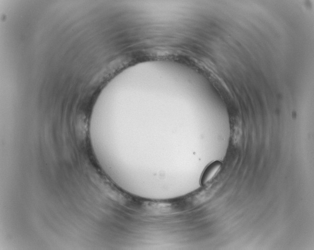 X0000088220476200706051327