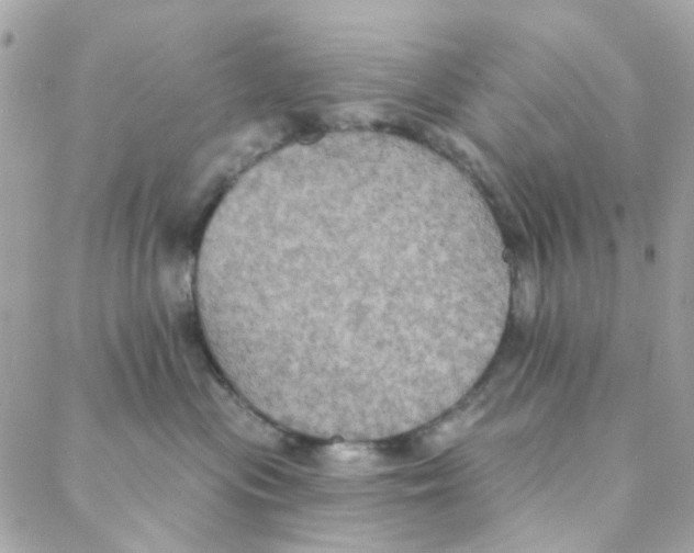 X0000088220477200706051327