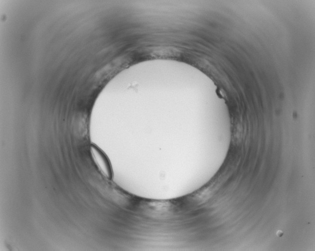 X0000088220478200706051327