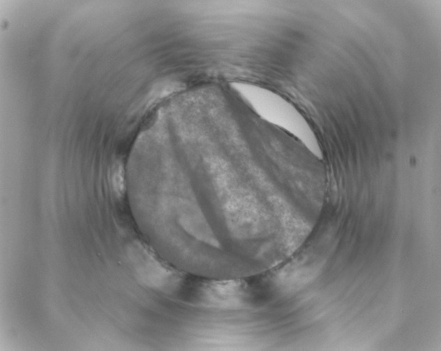 X0000088220479200706051327