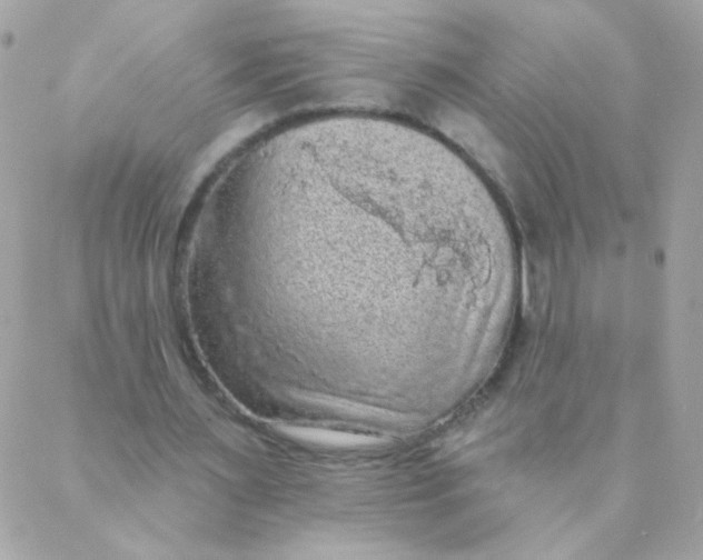 X0000088220483200706051326