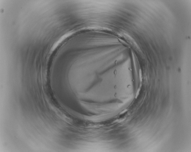 X0000088220484200706051326