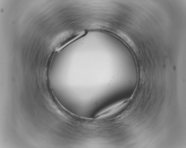 X0000088220485200706051326