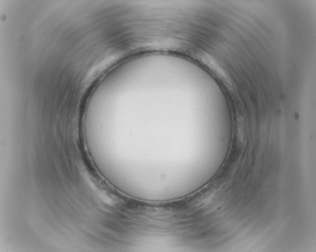 X0000088220486200706051326