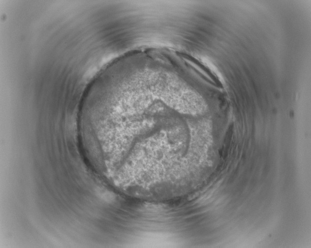 X0000088220487200706051326