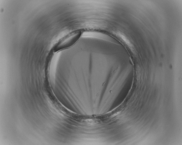 X0000088220488200706051326