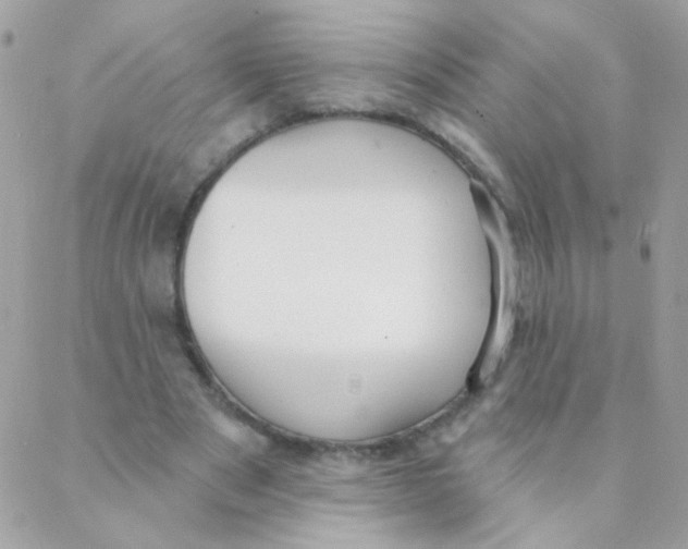 X0000088220489200706051326