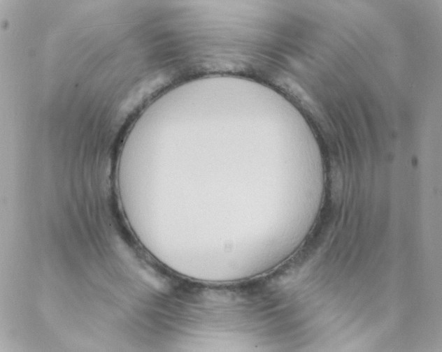 X0000088220490200706051326