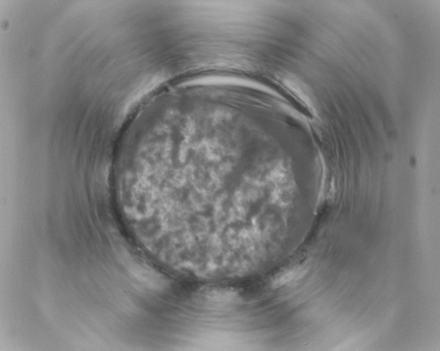 X0000088220491200706051326