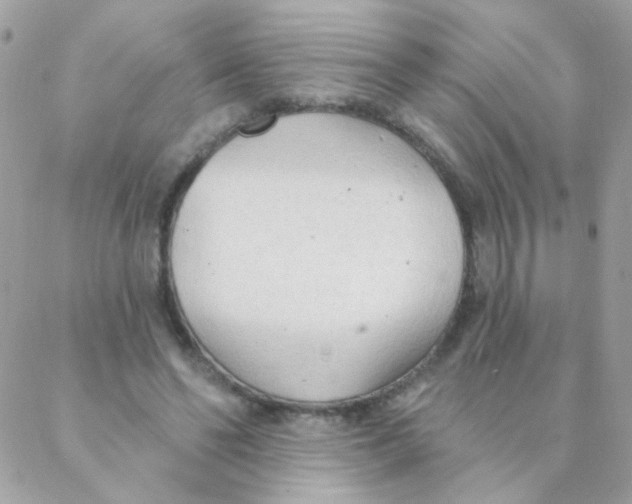 X0000088220494200706051326