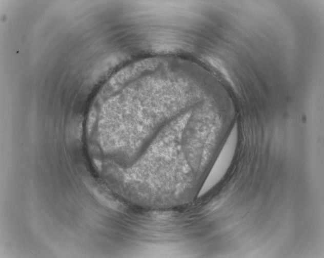 X0000088220495200706051326