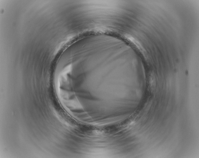 X0000088220496200706051326