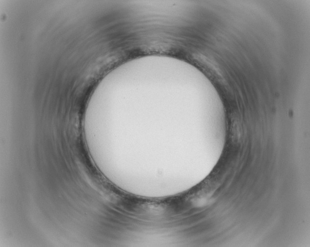 X0000088220498200706051326